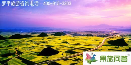 羅平油菜花引來千萬游客和攝影旅游團