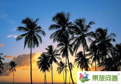 【昆明直飛三亞】瀟灑蜈支洲——天涯海角、蜈支洲島、南山文化苑