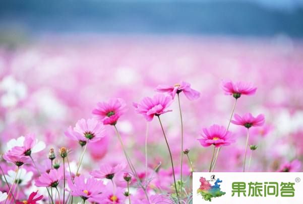 11月香格里拉七彩的格?；í?dú)秀云南