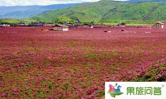 11月香格里拉七彩的格?；í?dú)秀云南