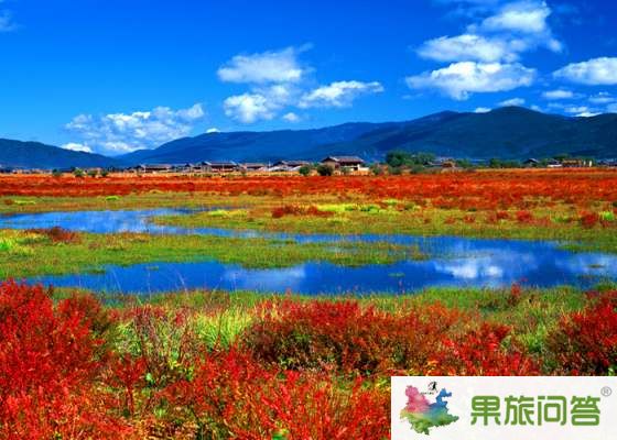 昆明、大理、麗江、香格里拉 7晚8天 生態(tài)休閑之旅