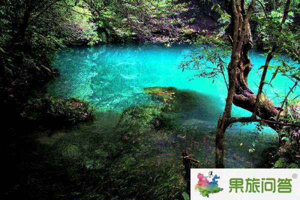 昆明、大理、麗江、西雙版納”7晚8天生態(tài)休閑之旅