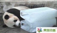 七月份去昆明旅游好玩嗎？