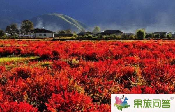 超值休閑游—麗江、香格里拉、大理六日游 HX