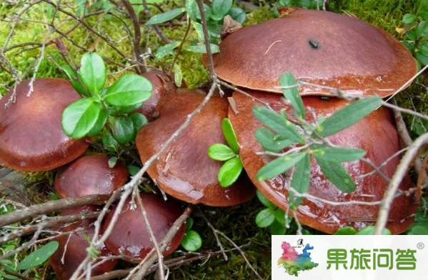 云南有什么好吃的？